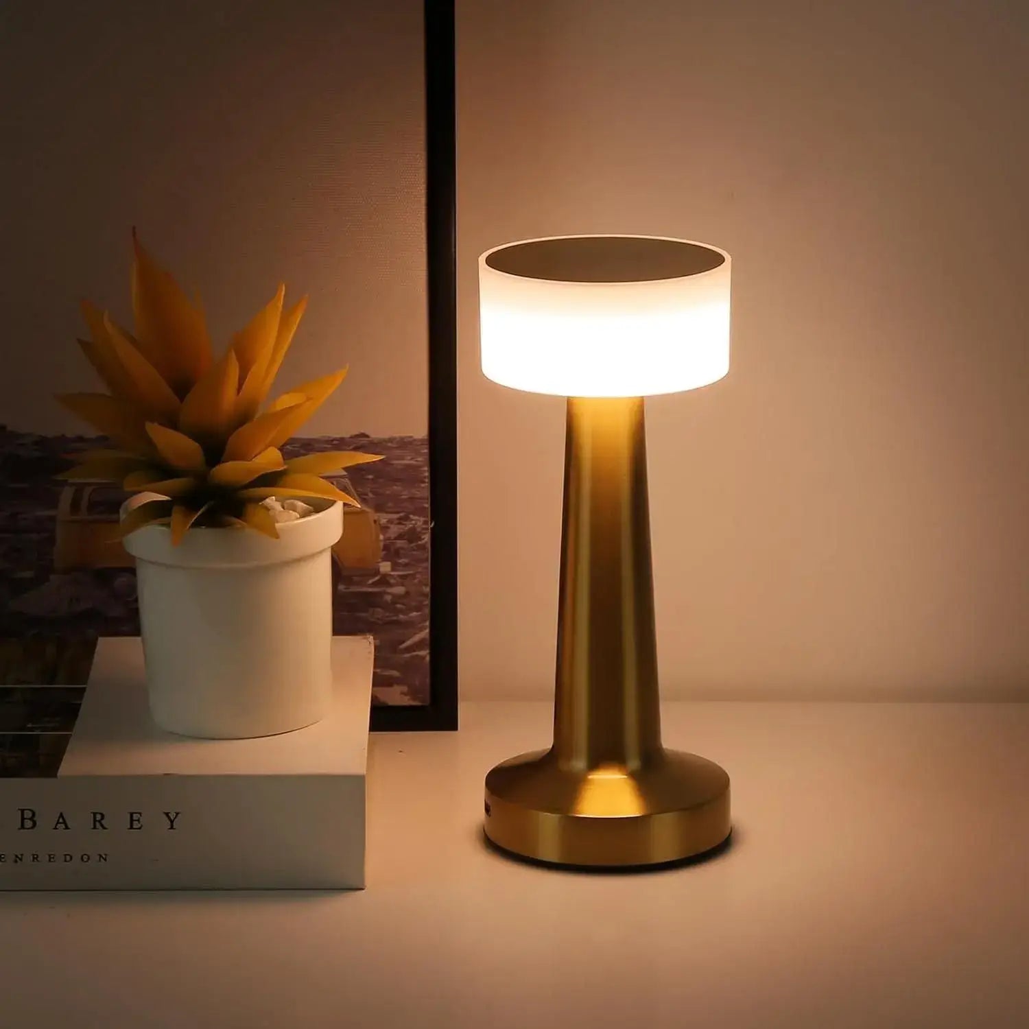 LED Desk Lamp